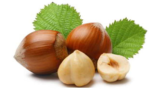 Tree Nut